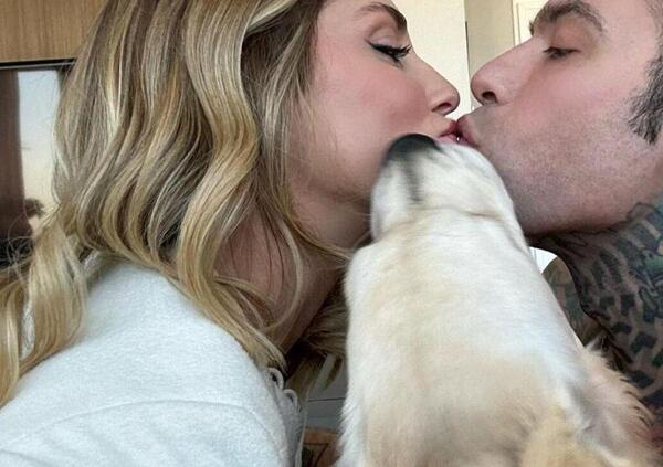 Chiara Ferragni lascia Fedez? Lo scoop di Striscia: cosa c&rsquo;entrano il cane Paloma e la coprolal&igrave;a