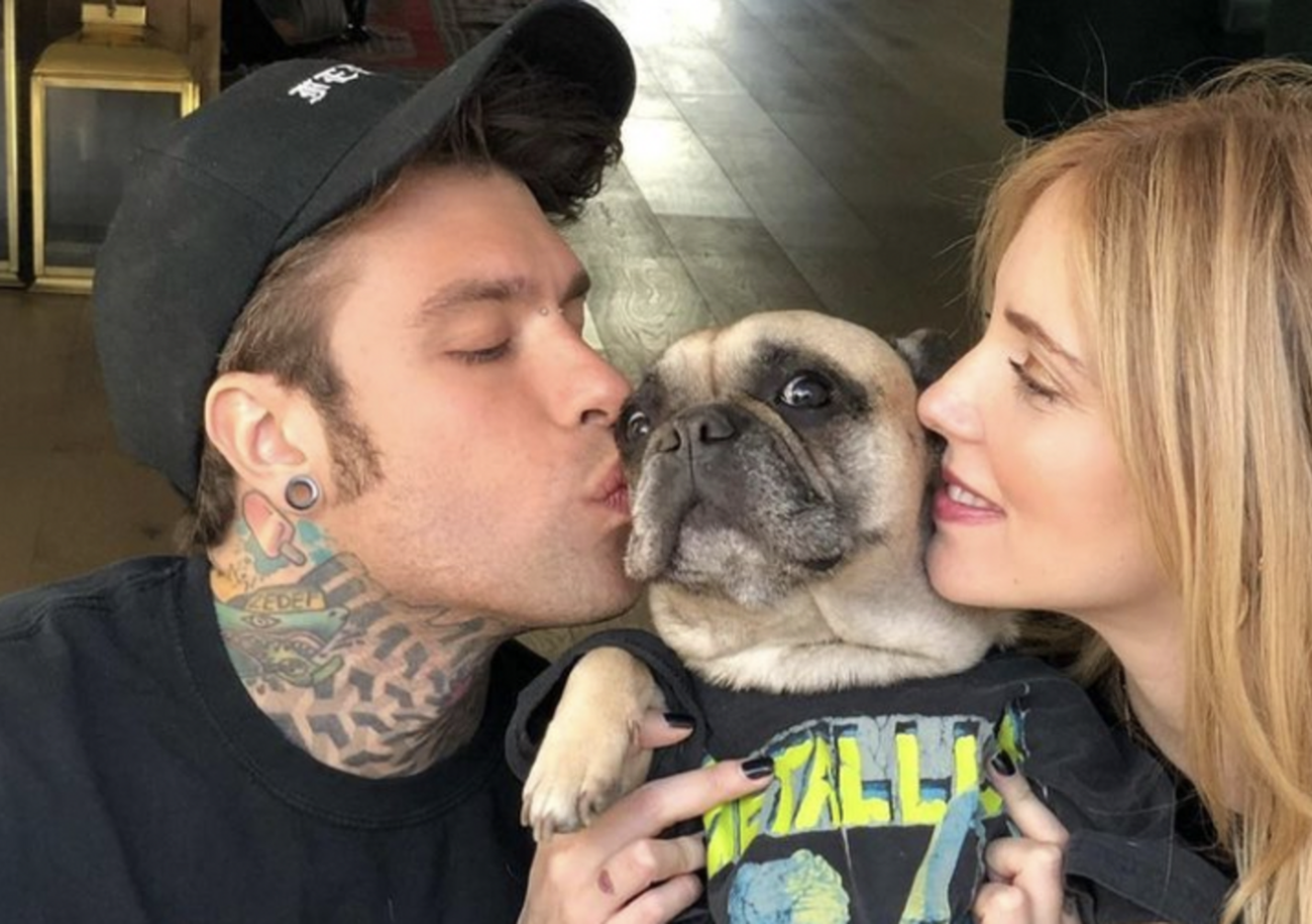 I cani dei Ferragnez, la morte di Aron, il gabbiano di Masterchef. Ci interessano pi&ugrave; gli animali che le persone? 