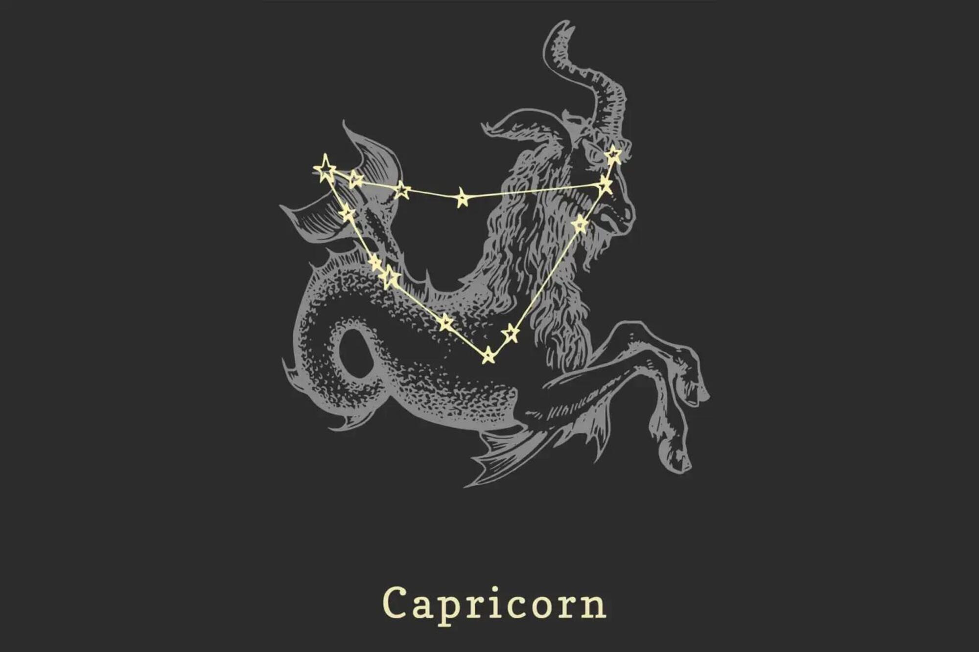 capricorno segno zodiacale