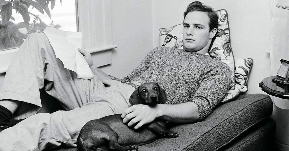 Marlon Brando, 100 anni del ribelle che non voleva essere Dio. Ma grazie al cinema neanche un truffatore