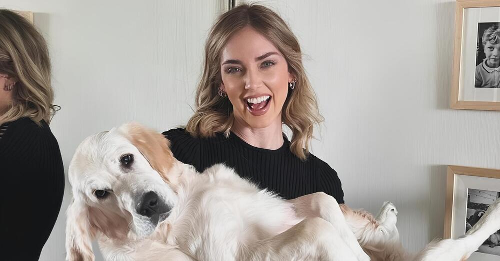 Svelato il mistero di Paloma, il cane dei Ferragnez. E il cognato di Chiara Ferragni lancia una frecciata a lei e a Fedez... [VIDEO]