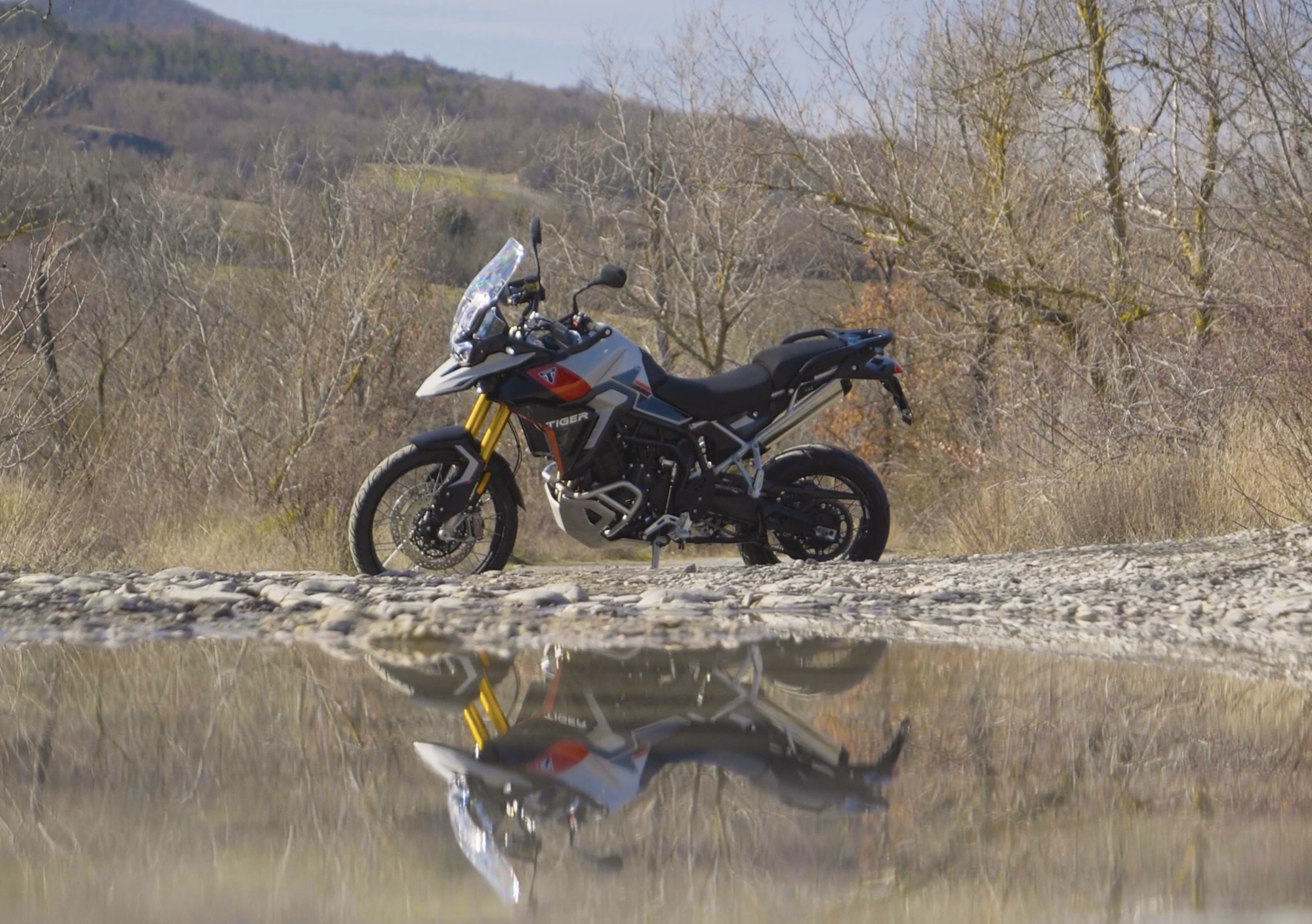 Triumph Tiger 900 Rally Pro 2024 totale