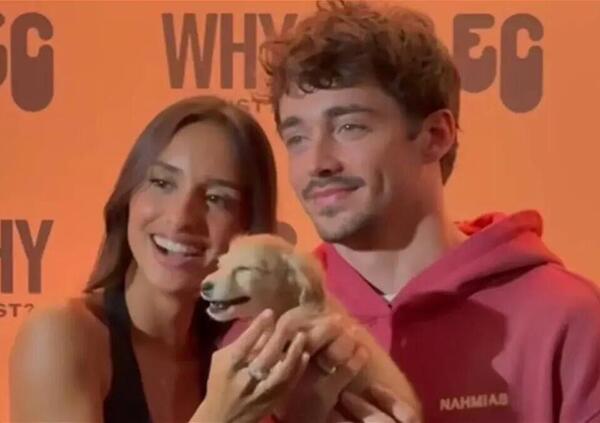 Charles Leclerc ha un nuovo cane e scoppia la polemica: &ldquo;Qualcuno gli dica che non &egrave; un accessorio&rdquo;