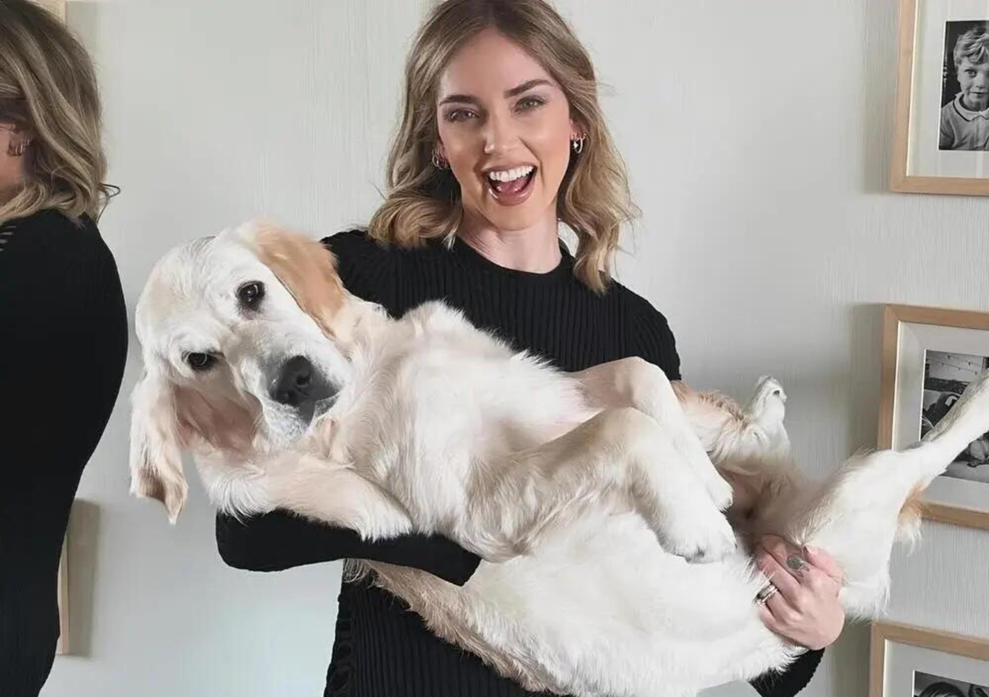 Chiara Ferragni con il cane Paloma