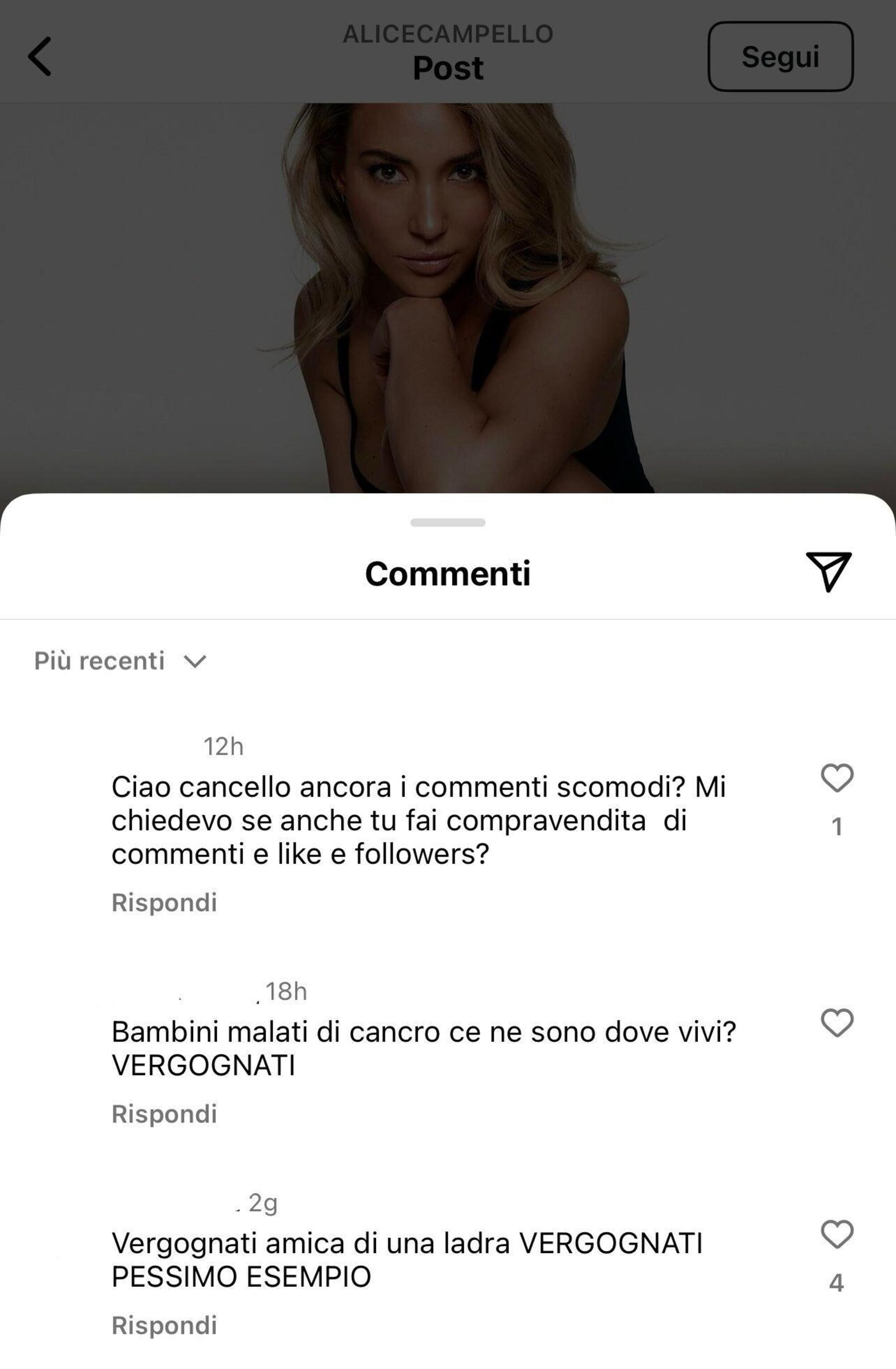 Gli insulti sotto il profilo di Alice Campello