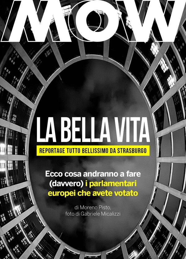 TRE GIORNI DA PARLAMENTARE EUROPEO: PER CAPIRE COSA ANDRANNO A FARE VANNACCI, ILARIA SALIS E GLI ALTRI CANDIDATI CHE AVETE VOTATO. CRONACA DI UN ERASMUS SBALLATO