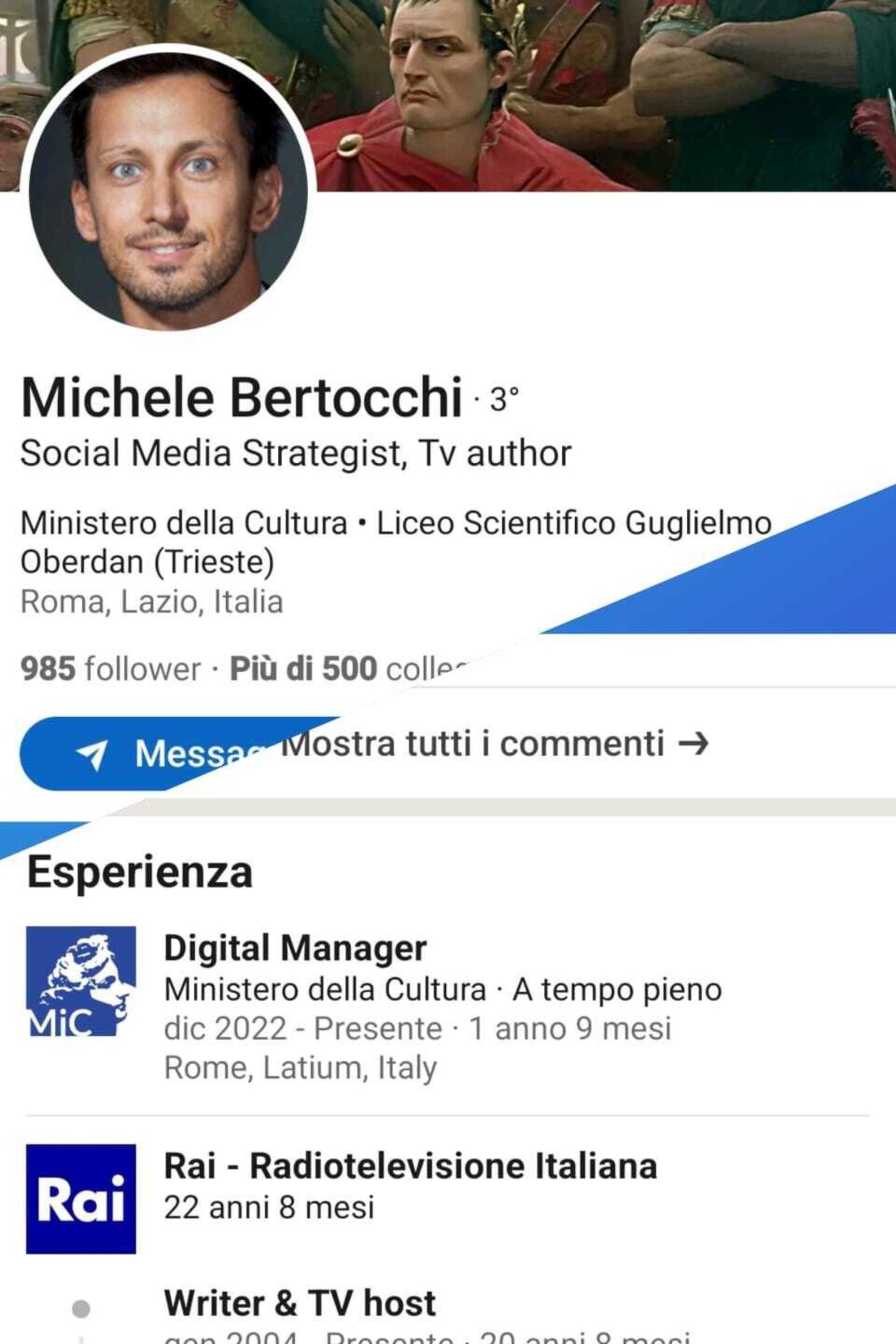 Il profilo LinkedIn di Michele Bertocchi