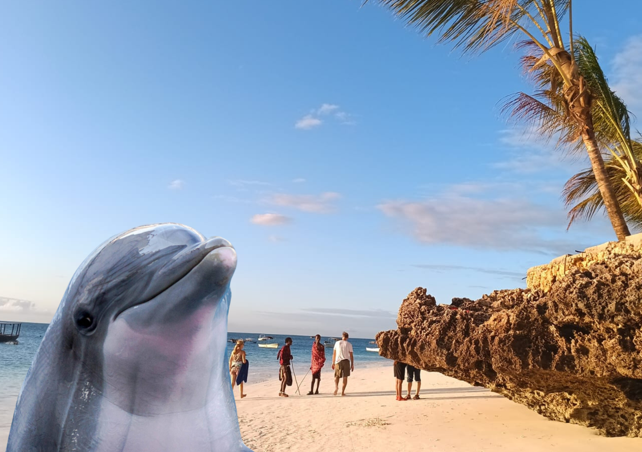 Vacanze in Africa: nuotare con i delfini pensando a David Bowie, ma anche Mnemba, l&rsquo;isola privata di Bill Gates, lo snorkeling e la sveglia prima dell&rsquo;alba. Il reportage estivo di un &ldquo;viaggio al contrario&rdquo;