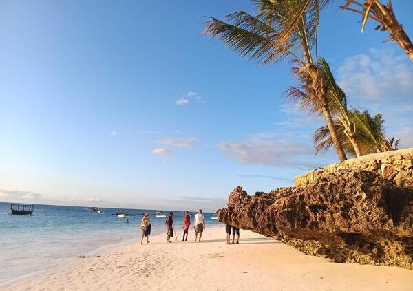 Vacanze in Africa: nuotare con i delfini pensando a David Bowie, ma anche Mnemba, l&rsquo;isola privata di Bill Gates, lo snorkeling e la sveglia prima dell&rsquo;alba. Il reportage estivo di un &ldquo;viaggio al contrario&rdquo;