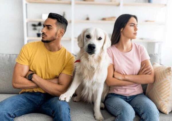 Metteresti fine alla relazione se al tuo cane o gatto non piacesse il partner? Per oltre la met&agrave; degli italiani s&igrave;. Ecco cinque motivi per i quali non &egrave; una follia&hellip; 