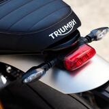 Triumph: ecco le nuove Speed Twin 1200 RS e Speed Twin 1200