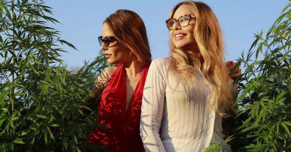 Nuovo Codice della strada e cannabis terapeutica, migliaia di pazienti in cura contro il governo per il rischio sanzioni: Naike Rivelli e Ornella Muti (col sostegno di Vasco Rossi) spiegano perch&eacute; sono pronti a una class action. E Salvini che fa?