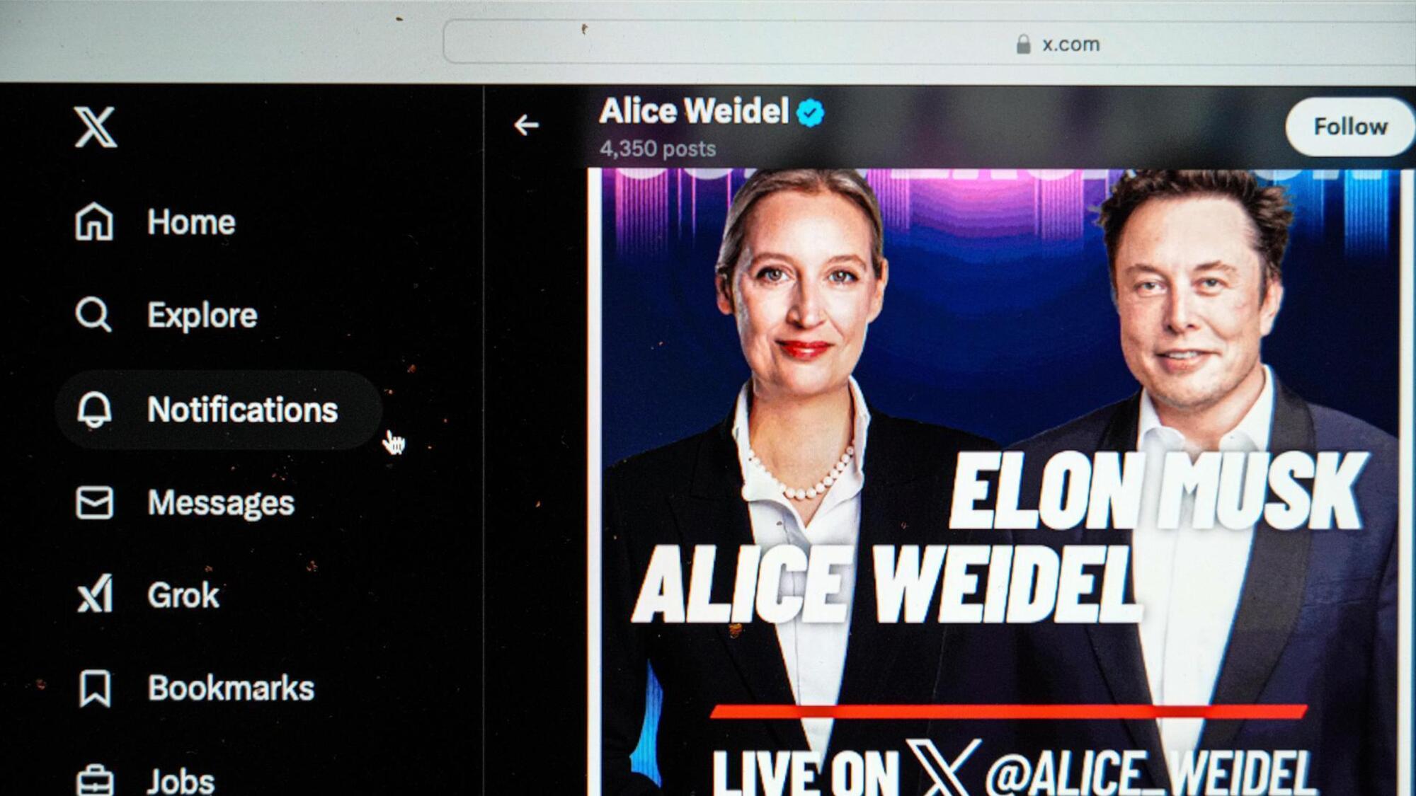 Alice Weidel dell&#039;Afd e Elon Musk in live su X 