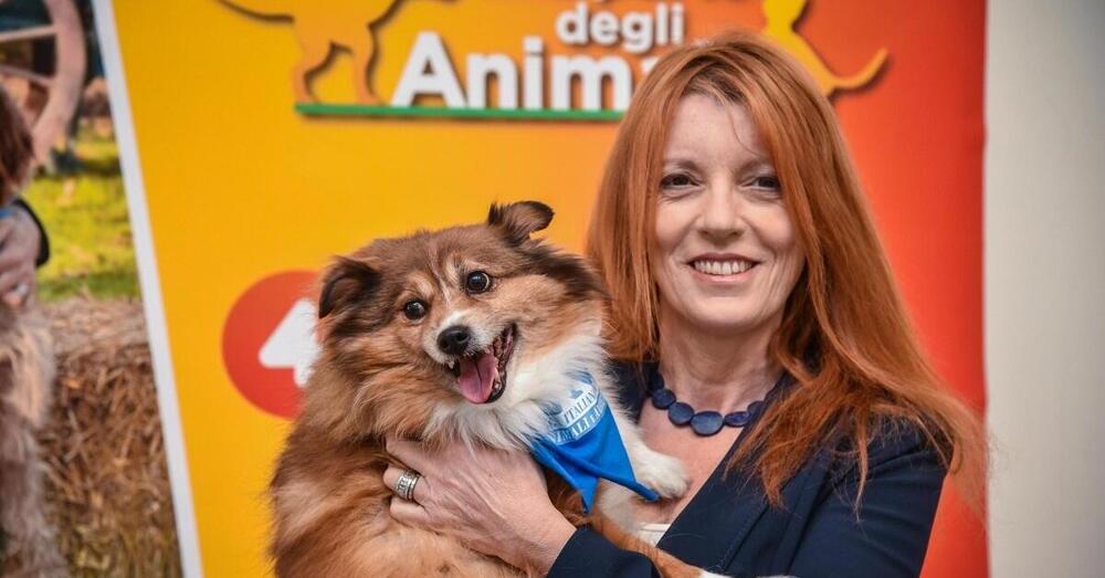 Le bombe di Report su Brambilla, salmoni e animalisti (Leidaa), la lite con Il Giornale, Bandecchi e l&rsquo;Universit&agrave; Niccol&ograve; Cusano. E su Equalize e il dossieraggio...