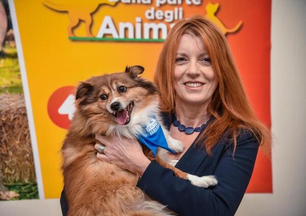 Le bombe di Report su Brambilla, salmoni e animalisti (Leidaa), la lite con Il Giornale, Bandecchi e l&rsquo;Universit&agrave; Niccol&ograve; Cusano. E su Equalize e il dossieraggio...