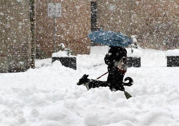 Ok, ma l&rsquo;ondata polare in Italia quando finir&agrave;? Gli esperti: &ldquo;Una delle pi&ugrave; forti degli ultimi 20 anni, ma&hellip;&rdquo; Gelate, temperature sotto lo zero, rischio piogge e neve dal nord fino alla Puglia e&hellip;