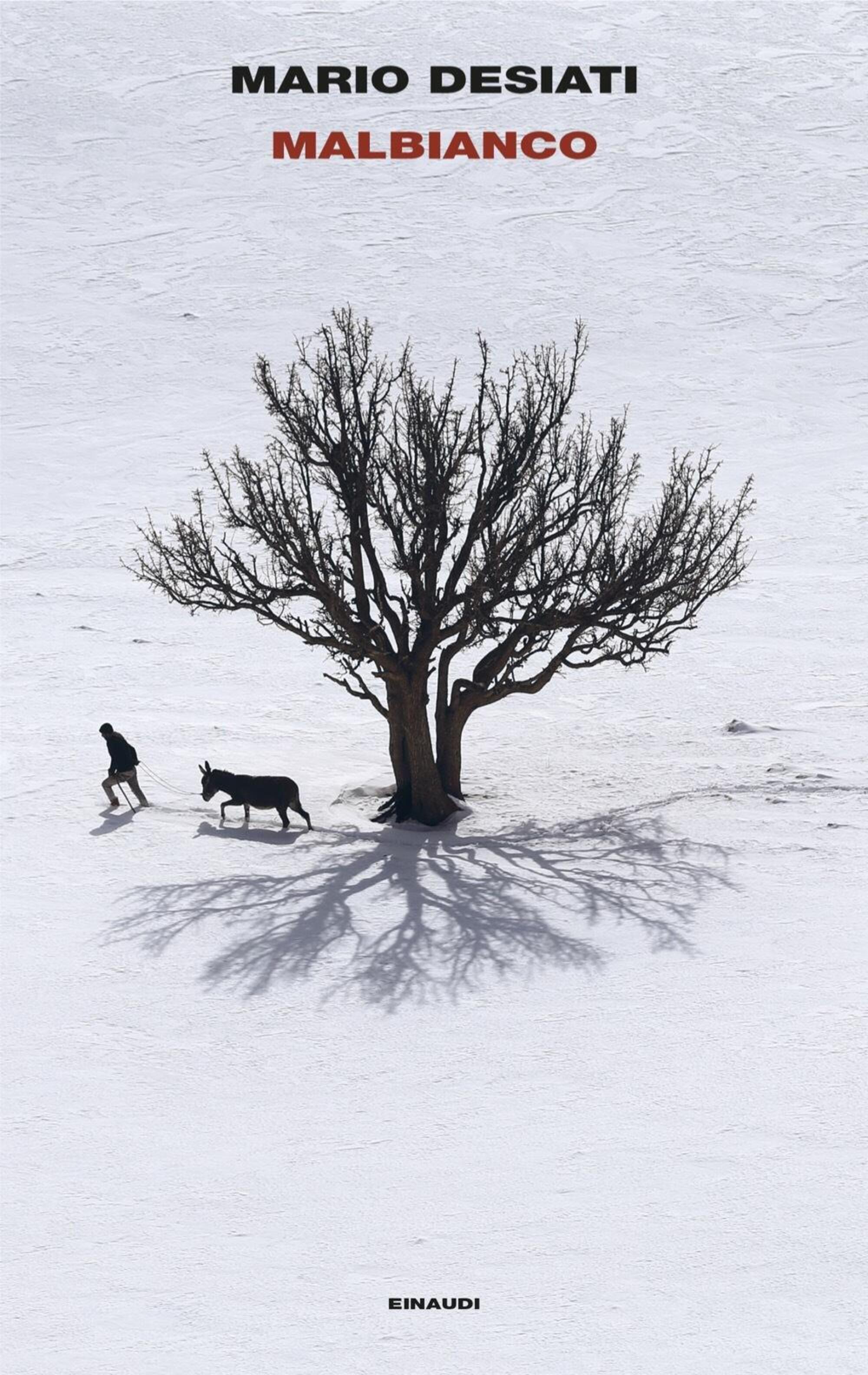 &quot;Malbianco&quot; di Mario Desiati (Einaudi, 2025)