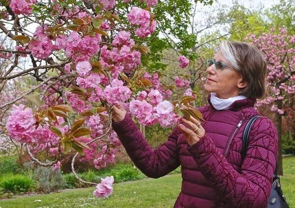 Omicidio Liliana Resinovich, dopo la perizia parla l&rsquo;amico speciale Claudio Sterpin: &ldquo;&Egrave; stata malmenata. Se uno ti pesta, un cuscino sulla bocca non ti fa nessun segno&rdquo;. L&rsquo;attacco al marito Sebastiano Visintin? &ldquo;Il cuscino di Lily da casa sua &egrave; scomparso&rdquo;