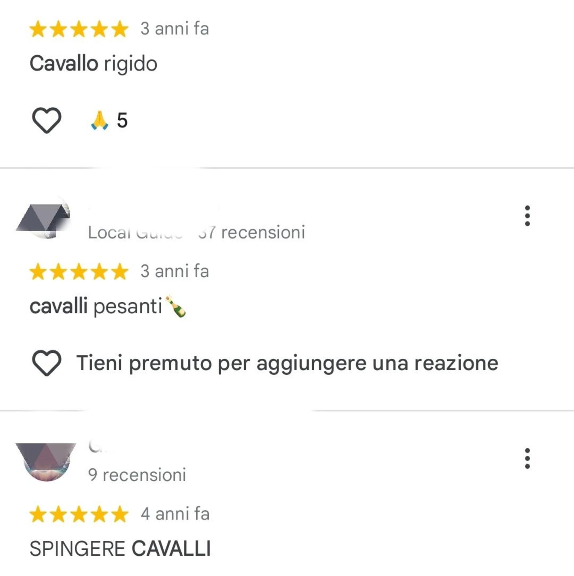 Cavalli, cavalli dappertutto