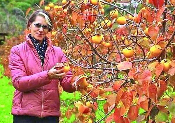 Omicidio Liliana Resinovich, &egrave; caccia al dna dell&rsquo;assassino: davvero ha lasciato le proprie tracce sul corpo della vittima? Segni di pugni, graffi e afferramenti, tutti contro il marito Sebastiano Visintin? Ecco come e quando &egrave; stata uccisa&hellip;