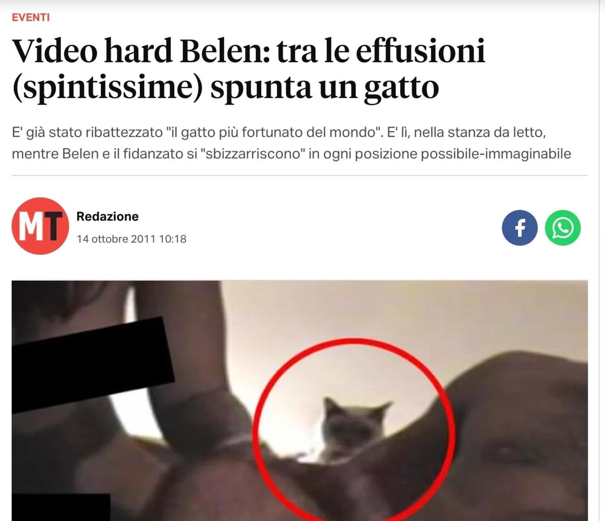 Una delle notizie sul gatto nel video di Belen