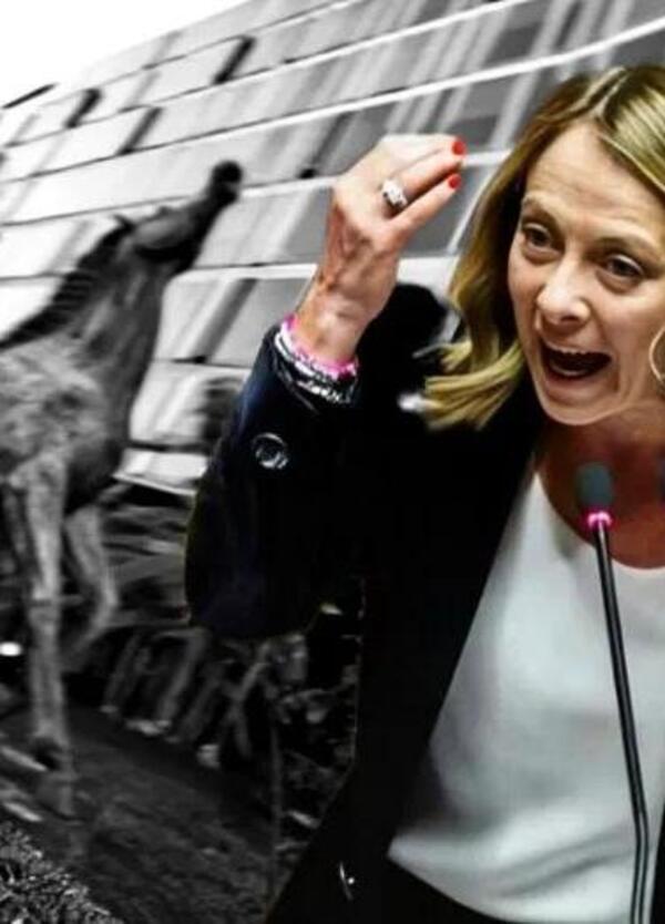 TELEMELONI? “DIAMOLA A MATTARELLA”: il critico sul disastro Rai: "Lavorano i brocchi..."