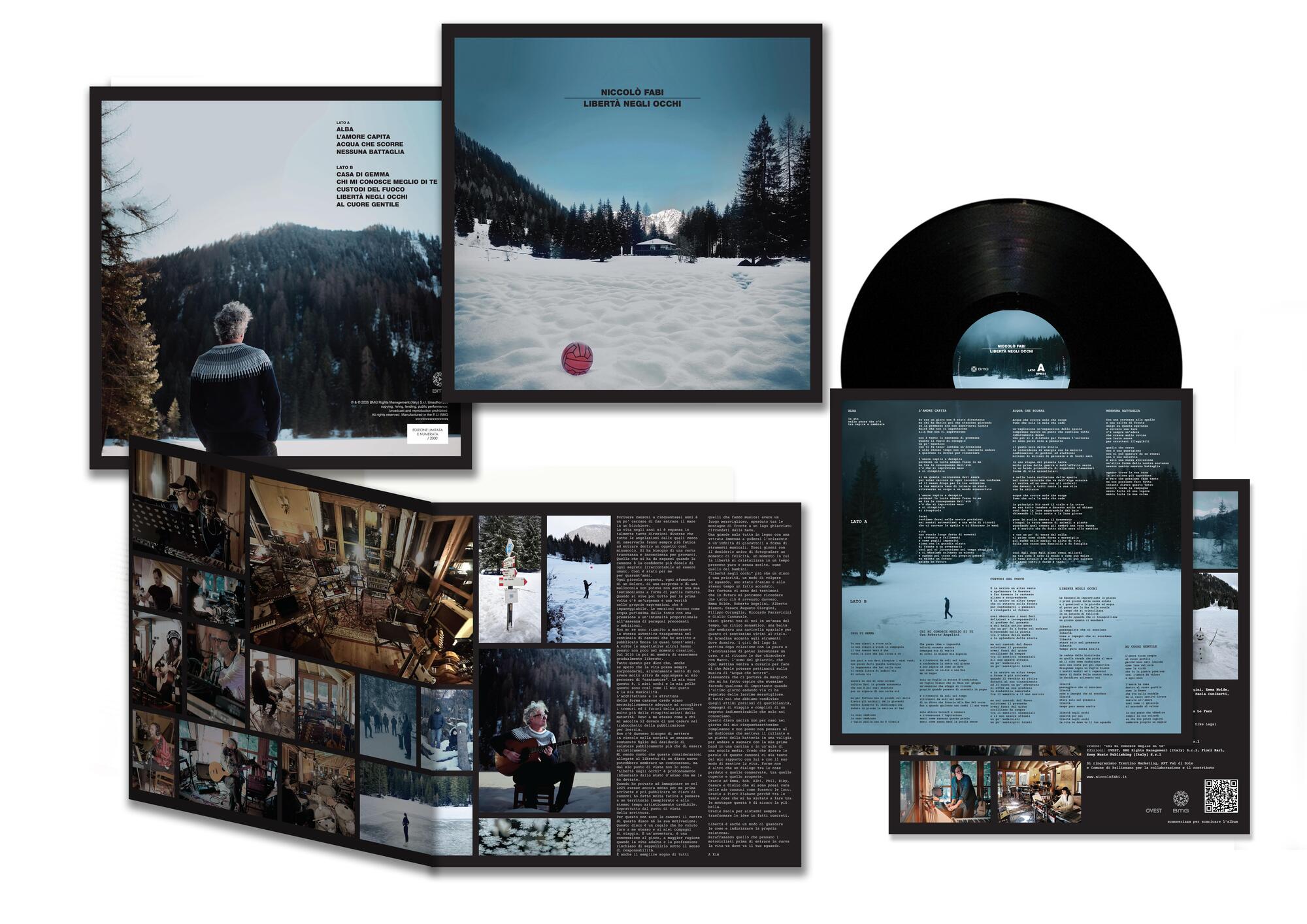 Il disco in vinile Libertà negli occhi di Niccolò Fabi