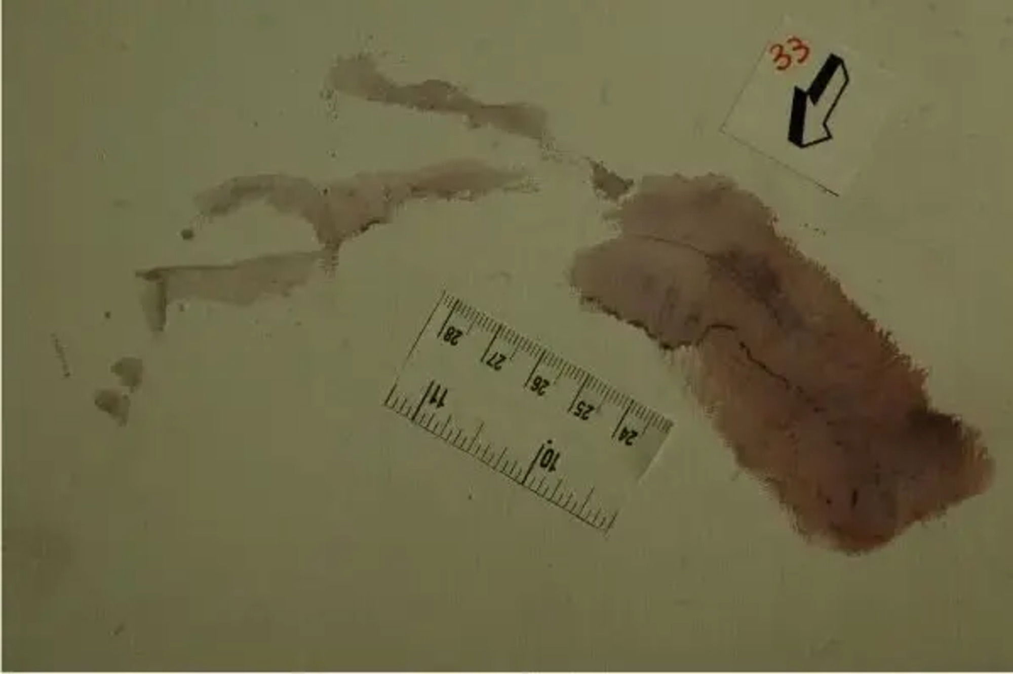 L'impronta 33