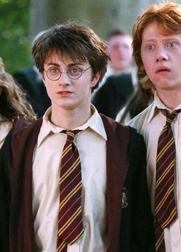 Perch&eacute; la nuova serie di Harry Potter fa incazzare tutti? Dall&#039;attore di origini ghanesi a...