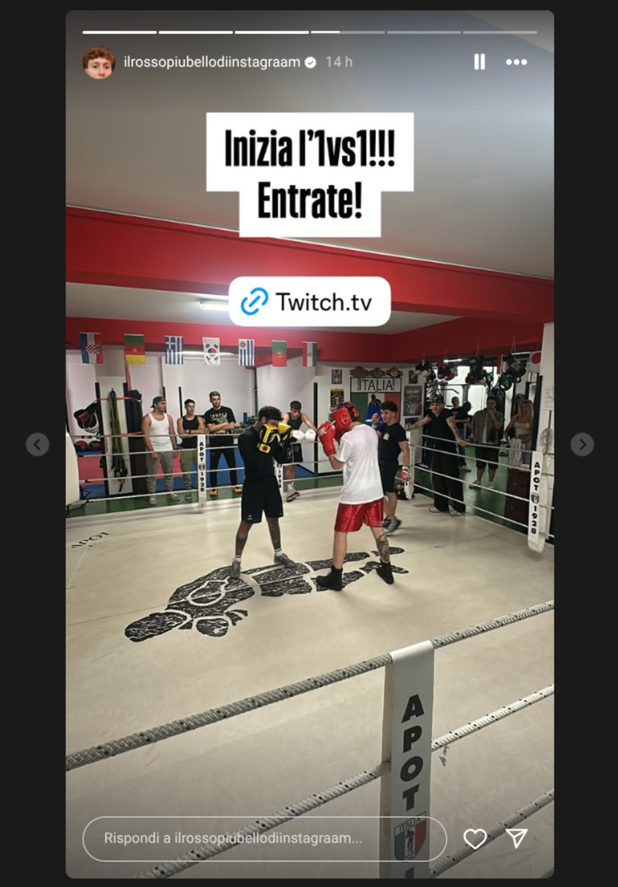 Il match di boxe tra Fedez e Il Rosso