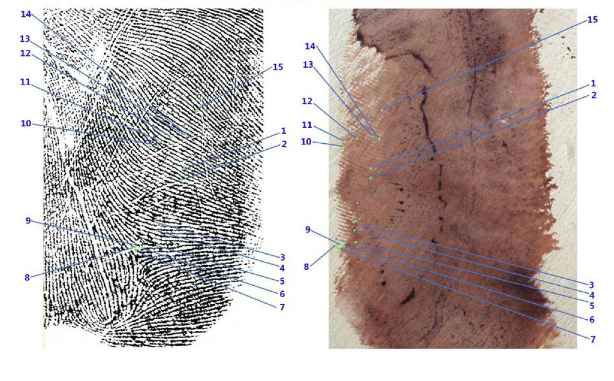 Traccia 33 delitto di Garlasco Andrea Sempio Chiara Poggi
