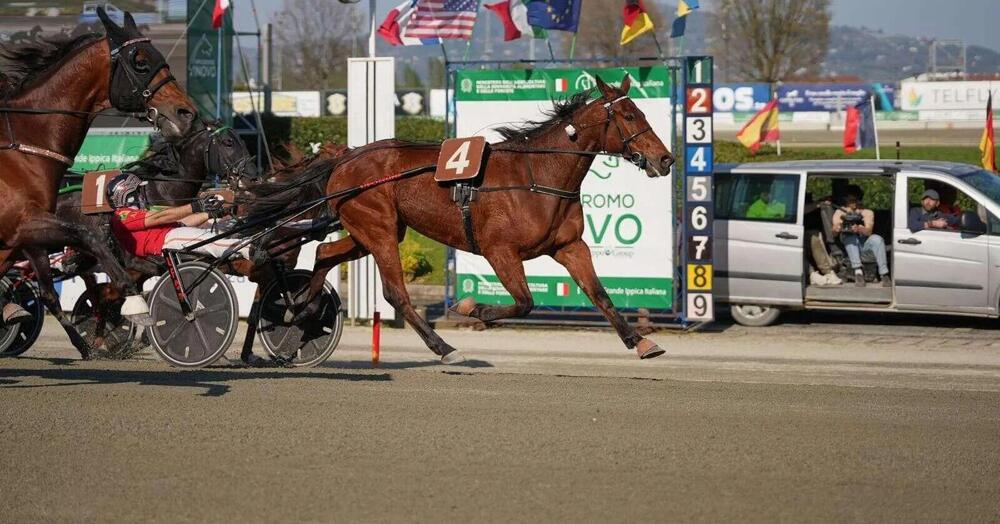 DIAMOCI ALL&#039;IPPICA: al Gran Premio Freccia d&#039;Europa in palio 154mila euro, ma chi sono i cavalli favoriti? Ve lo spieghiamo: sono tre, ma occhio agli outsider. Da Dany Capar a Edy Girifalco Gio...