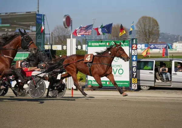 DIAMOCI ALL'IPPICA: al Gran Premio Freccia d'Europa in palio 154mila euro, ma chi sono i cavalli favoriti? Ve lo spieghiamo: sono tre, ma occhio agli outsider. Da Dany Capar a Edy Girifalco Gio...