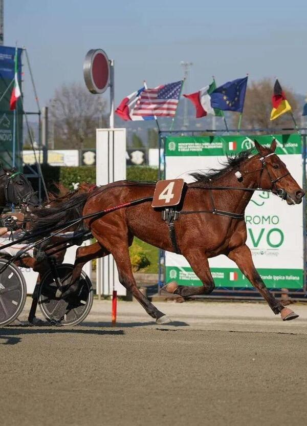 DIAMOCI ALL&#039;IPPICA: al Gran Premio Freccia d&#039;Europa in palio 154mila euro, ma chi sono i favoriti? 