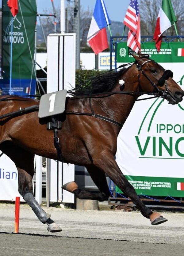 DIAMOCI ALL&#039;IPPICA: chi sono i cavalli favoriti al Gran Premio Unione Europea di Modena? 