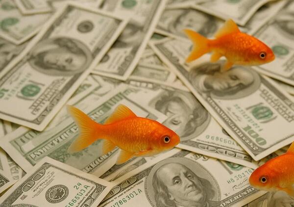 Risiko bancario, perch&eacute; quello dei piccoli istituti in realt&agrave; &egrave; un gigantesco affare? Ci sono 8 miliardi di euro sul tavolo: ecco come si muove il mercato