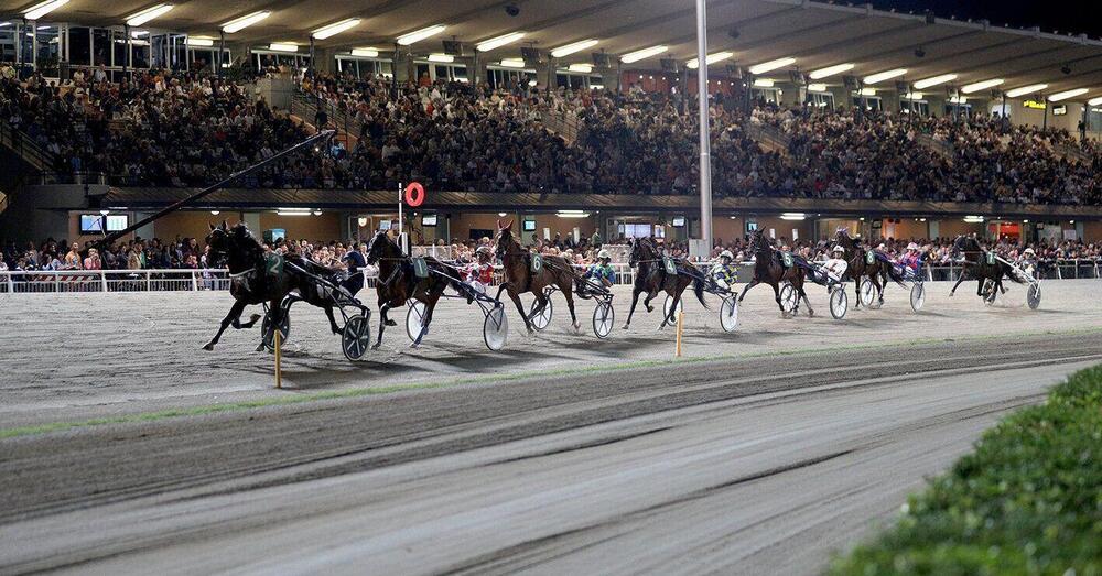 DIAMOCI ALL&rsquo;IPPICA: A Cesena parte il Grassi, ma chi sono i favoriti? Da Dana Ek (Massimiliano Castaldo) a Extra Model e Ernesto Spritz: tutto quello che dovete sapere sul primo Gran premio dell&rsquo;estate