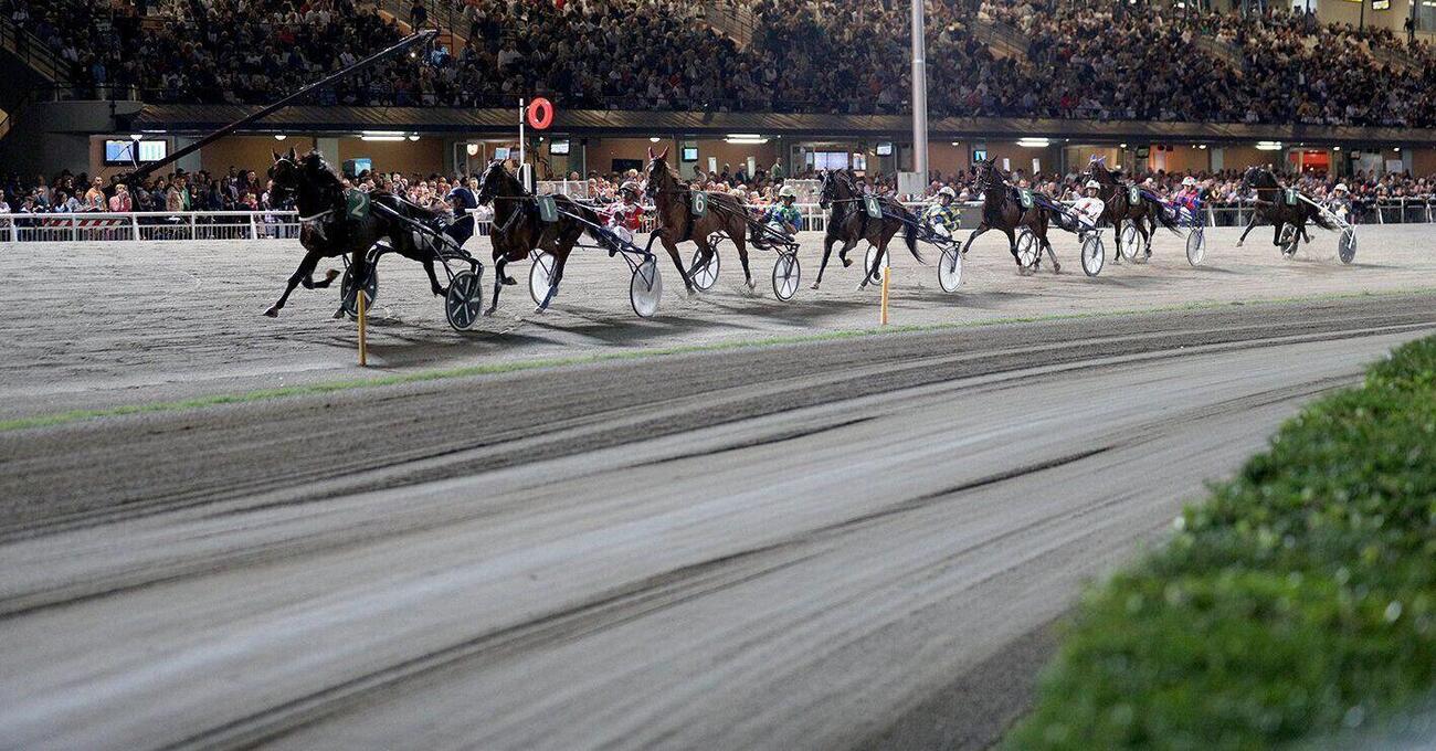 DIAMOCI ALL&rsquo;IPPICA: A Cesena parte il Grassi, ma chi sono i favoriti? Da Dana Ek (Massimiliano Castaldo) a Extra Model e Ernesto Spritz: tutto quello che dovete sapere sul primo Gran premio dell&rsquo;estate