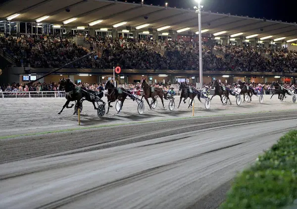 DIAMOCI ALL&rsquo;IPPICA: A Cesena parte il Grassi, ma chi sono i favoriti? Da Dana Ek (Massimiliano Castaldo) a Extra Model e Ernesto Spritz: tutto quello che dovete sapere sul primo Gran premio dell&rsquo;estate