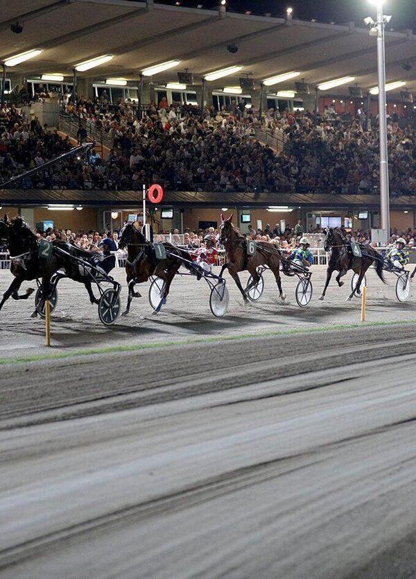 DIAMOCI ALL&rsquo;IPPICA: A Cesena parte il Grassi, ma chi sono i favoriti? 