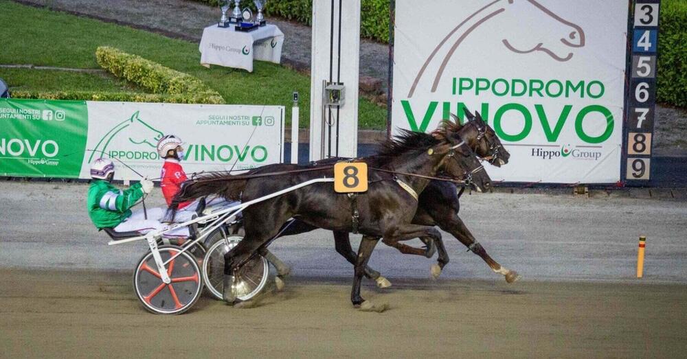 DIAMOCI ALL&#039;IPPICA! I bookmaker disperati: Dakovo Mail trionfa da sfavorito, ma come ha fatto? E si replica al Citt&agrave; di Napoli con 24 cavalli in pista: perch&eacute; tutti parlano di Giacomo Mail?