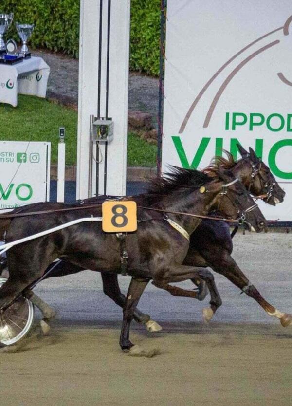 DIAMOCI ALL&#039;IPPICA! Bookmaker disperati: Dakovo Mail trionfa da sfavorito. E al Citt&agrave; di Napoli...