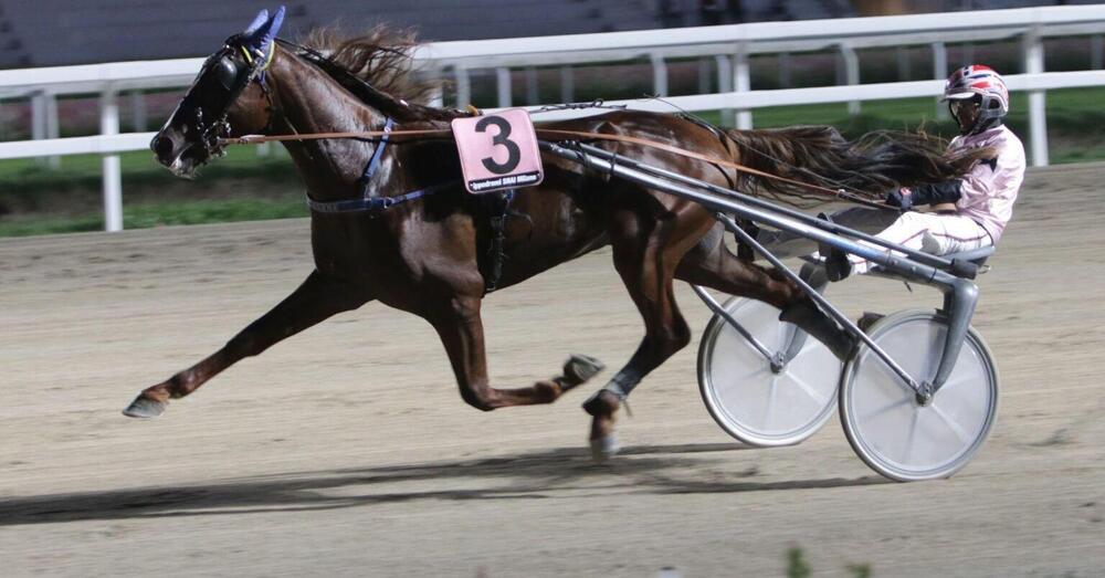 DIAMOCI ALL&#039;IPPICA! Scopri perch&eacute; il Citt&agrave; di Napoli &egrave; stato il miglior spettacolo dell&rsquo;anno! Chi ha vinto meritava? I bookmaker ci avevano azzeccato. E a Montecatini Terme...