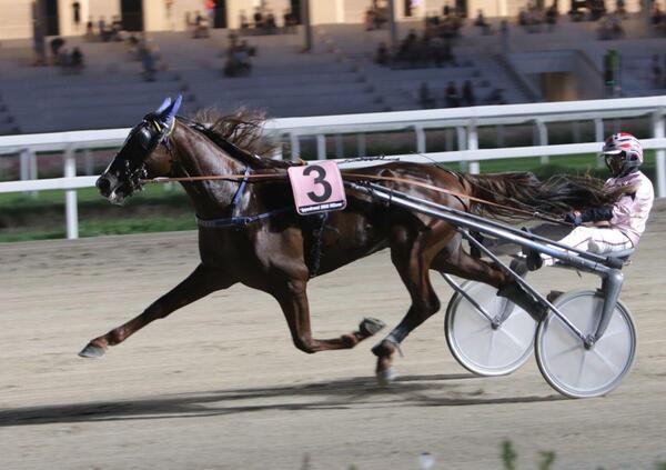 DIAMOCI ALL&#039;IPPICA! Scopri perch&eacute; il Citt&agrave; di Napoli &egrave; stato il miglior spettacolo dell&rsquo;anno! Chi ha vinto meritava? I bookmaker ci avevano azzeccato. E a Montecatini Terme...