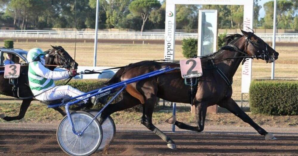 DIAMOCI ALL&#039;IPPICA! Lo show si sposta a Taranto: arriva il Gran Premio Due Mari. Ma quanti soldi ci sono in palio? E i favoriti e le possibili sorprese...