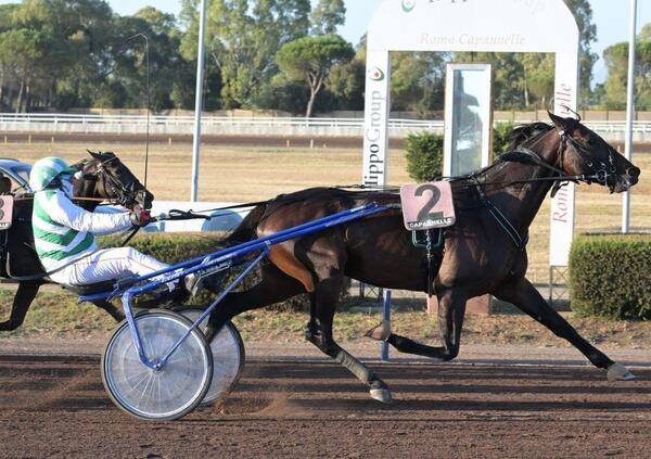DIAMOCI ALL&#039;IPPICA! Lo show si sposta a Taranto: arriva il Gran Premio Due Mari. Ma quanti soldi ci sono in palio? E i favoriti e le possibili sorprese...