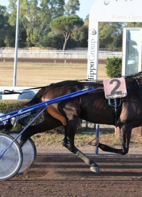 DIAMOCI ALL&#039;IPPICA! Lo show si sposta a Taranto: arriva il Gran Premio Due Mari. I favoriti?