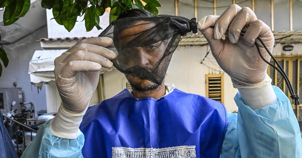 West Nile e zanzare, ma cosa c&#039;entrano il dopobarba e il colore dei vestiti con il virus? I consigli (strani, o forse no) del virologo Pregliasco