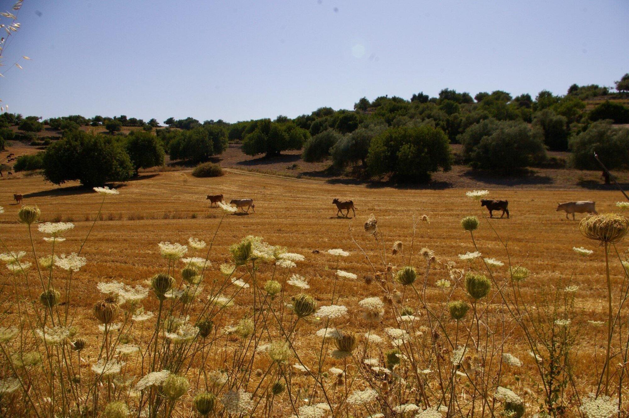 Pirainito, in Val di Noto, è un portale