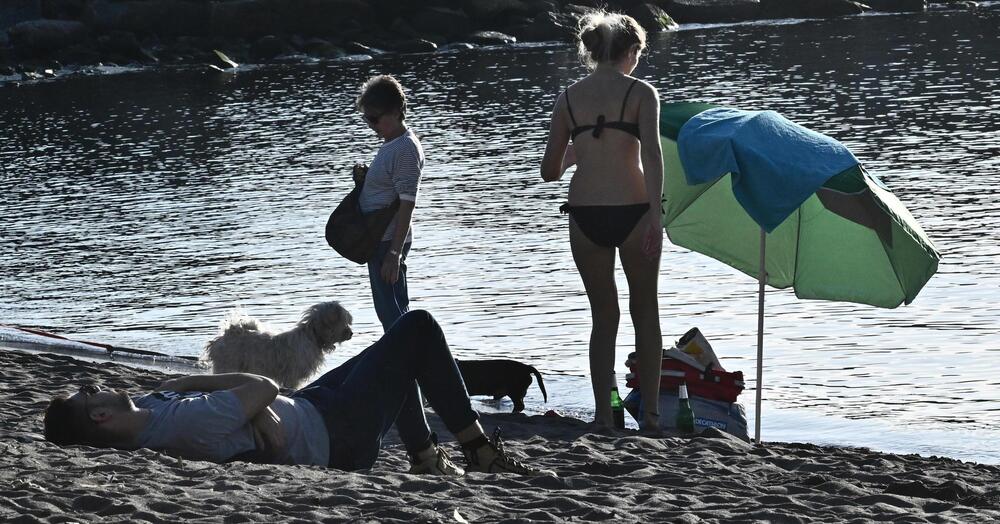 &ldquo;Ombrelloni chiusi e spiagge deserte: MA DAVVERO VI STUPITE?&rdquo; Salvo Sottile asfalta i gestori dei lidi sulla crisi del turismo: &ldquo;Vale la pena pagare 100-150 euro a postazione?&rdquo;
